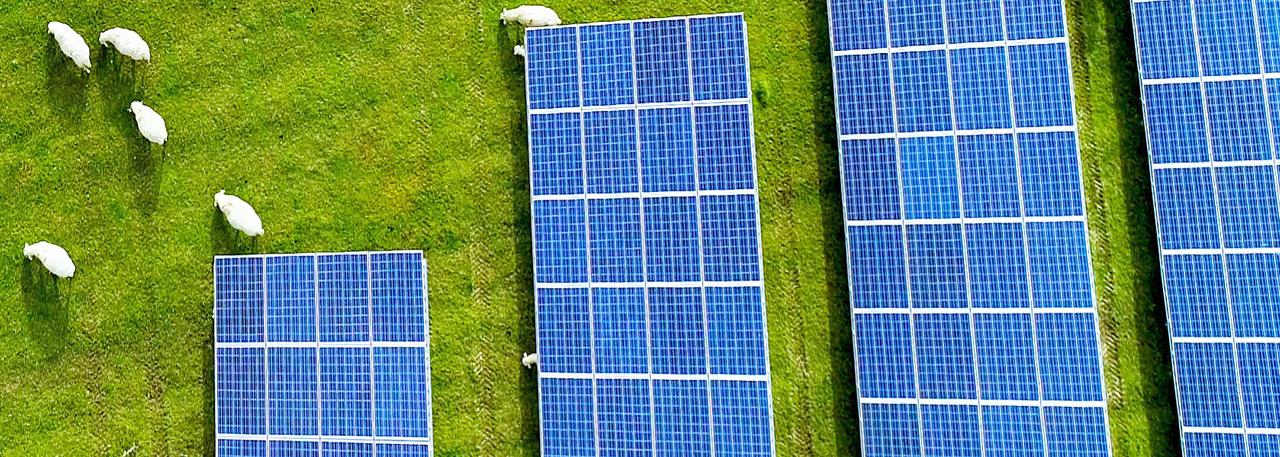 Чем опасны солнечные панели